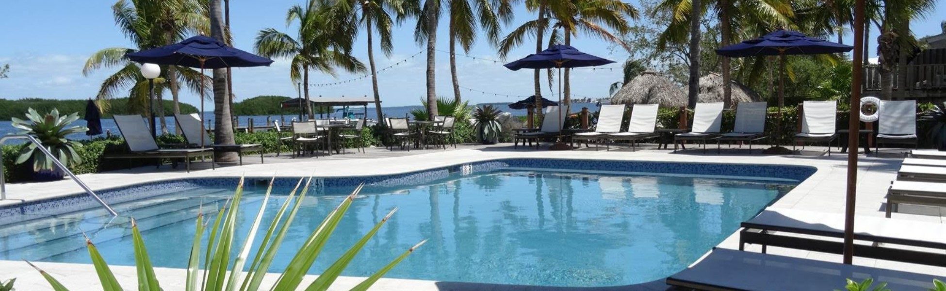 Heated Pool at the best Key largo hotel